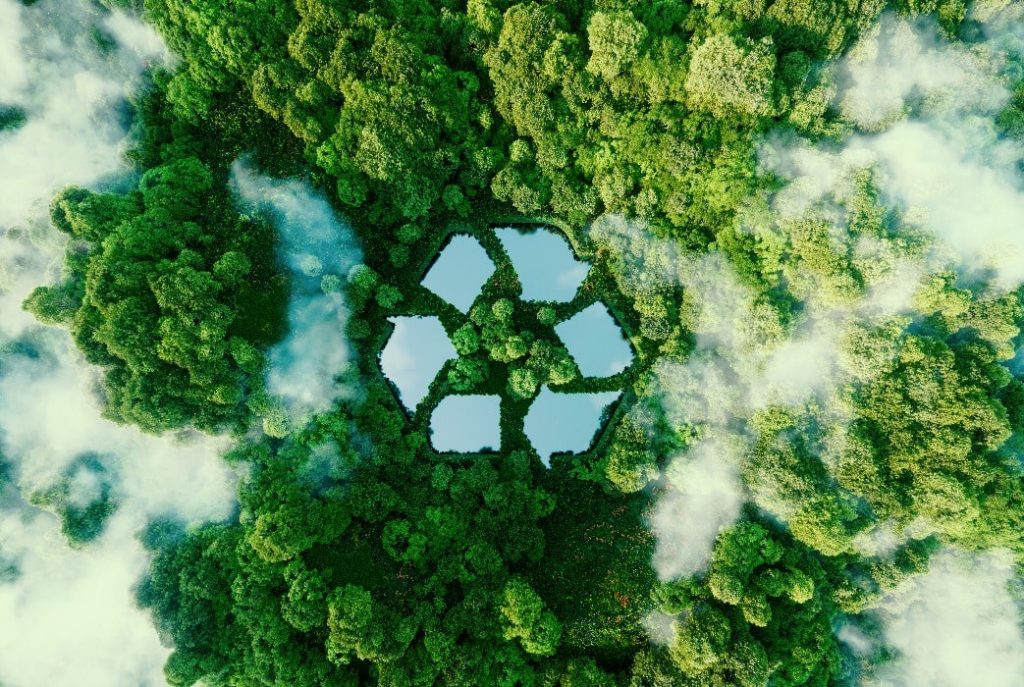 Il bosco per la sostenibilità del riciclaggio delle batterie delle auto elettriche