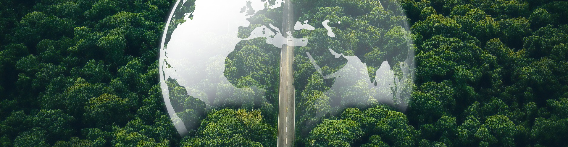 Il bosco per la sostenibilità del riciclaggio delle batterie delle auto elettriche