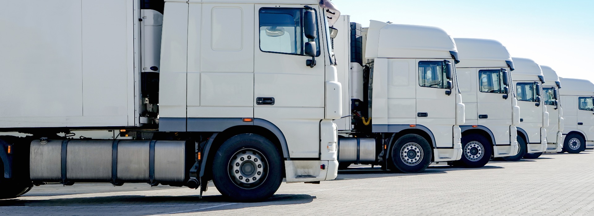 Azienda di trasporti su gomma, diversi camion bianchi allineati uno accanto all'altro